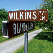 Wilkins Lane Sign