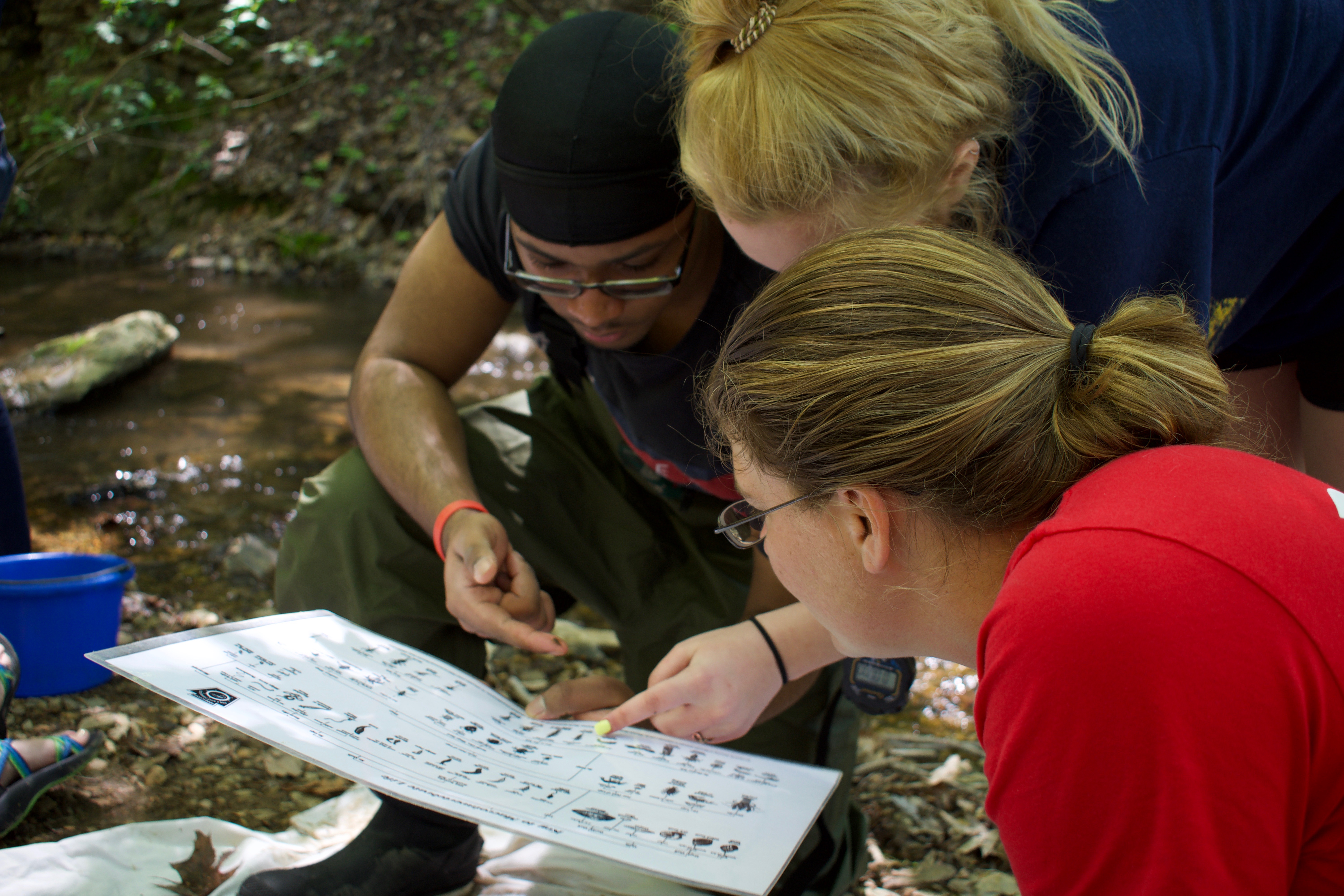 high school students use a dichotomous key to identify benthic macroinvertebrates