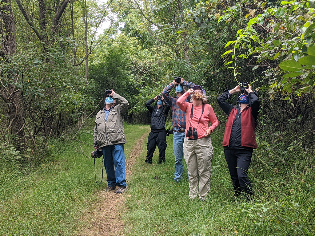 Bird_Walk_September