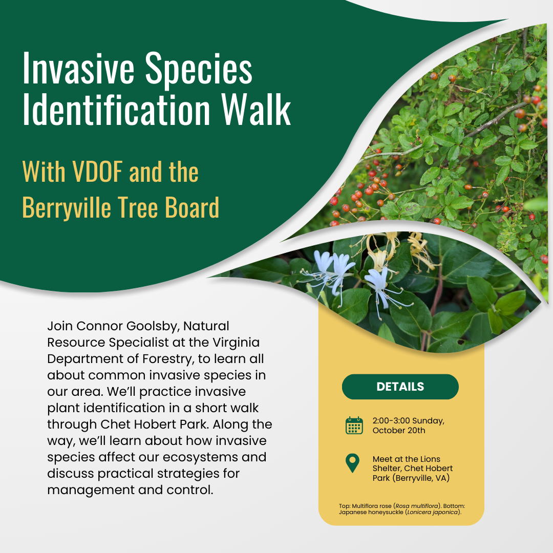 Invasive species identification walk at Chet Hobert Park (Berryville, VA)