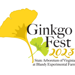 GinkgoFest Poster