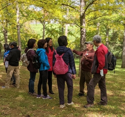 Blandy's Ginkgo Grove