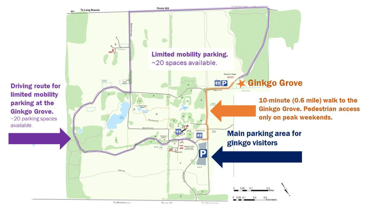 Ginkgo Grove Map